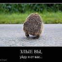 ���� ������, �����, 65 ��� - ��������� 17 ������ 2021 � ������ ���� ����������