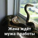 ���� Alex, ������� - ��������� 5 �������� 2020 � ������ ������ ��������