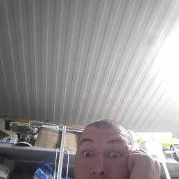 ���������, ������, 41 ���