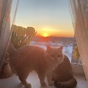 ���� ��������, �����-���������, 62 ���� - ��������� 21 ����� 2021 � ������ ���� ����������