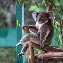 ���� �����, ���������, 55 ��� - ��������� 21 ������ 2020 � ������ ������ ��������