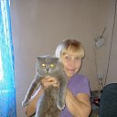 ���� ������, ��������������, 66 ��� - ��������� 24 �������� 2020 � ������ ���� ����������