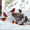 ���� ���������, ��������, 51 ��� - ��������� 21 ������� 2020 � ������ ���� ����������