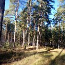 ���� �����, ������ - ��������� 26 ������� 2020 � ������ ���� ����������