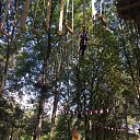 ���� ����, ������ - ��������� 4 �������� 2020 � ������ ���������