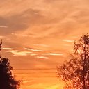 ���� ���������, �������, 65 ��� - ��������� 29 ������� 2020 � ������ ������ ��������