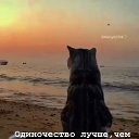 ���� ��������, �����������, 62 ���� - ��������� 21 ������� 2021 � ������ �������� �����