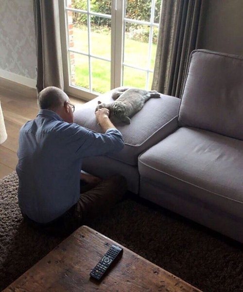 Папы, кoтopыe кoгда-тo сказaли: «Никaких кoтов в дoме» - 4