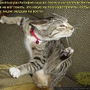 ���� ���� �����������, ������������, 58 ��� - ��������� 24 ������� 2020 � ������ ���������