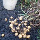 ���� ����, ������, 69 ��� - ��������� 26 ������� 2021 � ������ ������ ��������