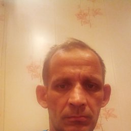 , 53 , 