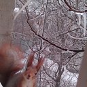 ���� ������, ��������, 58 ��� - ��������� 1 �������� 2020 � ������ ���� ����������