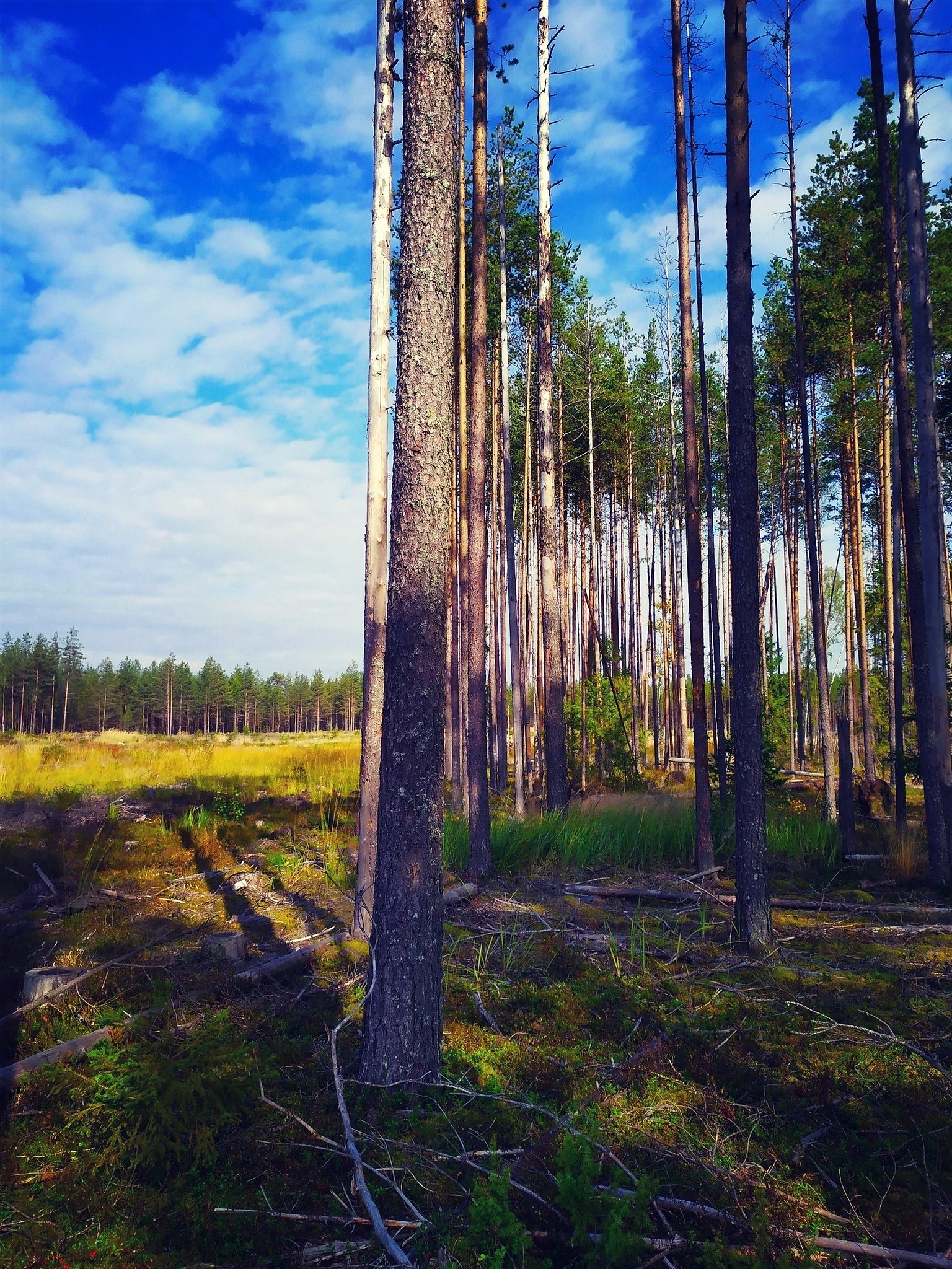   - 6  2020  19:50 - 4