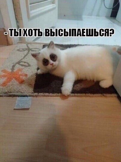 ����� ����� �� �������