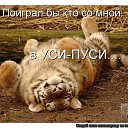 ���� ������, �������� - ��������� 20 ������� 2021 � ������ ���� ����������