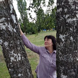 ���� �������, �����, 42 ���� - ��������� 26 ������� 2020