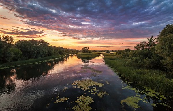     .  , ,  .         ...