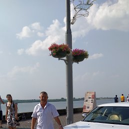 ����, �����, 53 ����