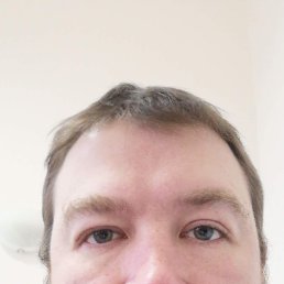 �����, �����-���������, 38 ���