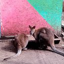 ���� ����, ����������, 64 ���� - ��������� 30 ������� 2020 � ������ ���� ����������