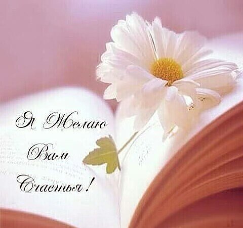 Всё ерунда: невольные печали, И одиночество, и приступы тоски, И ...