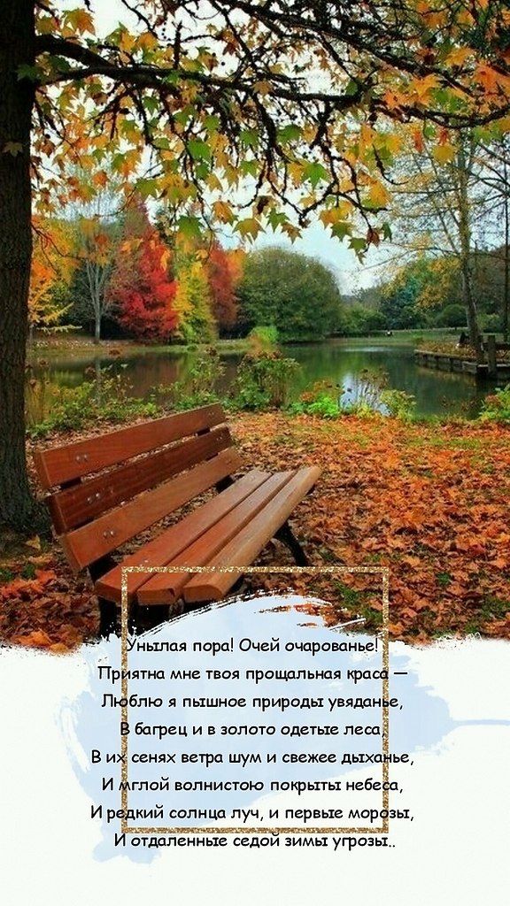 Татьяна Московская - 18 октября 2020 в 18:43