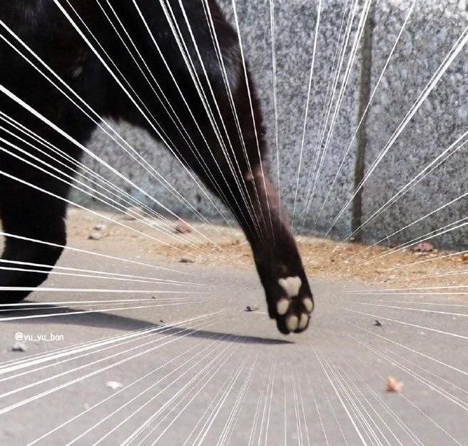 Действительно важно!).Милoта - 2