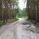 ���� ����, ������ - ��������� 26 ������� 2020 � ������ ���� ����������