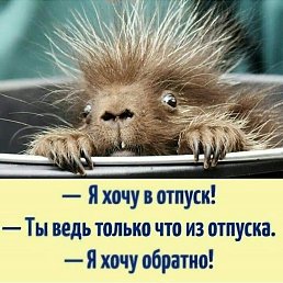 ���� �������, ������, 64 ���� - ��������� 2 �������� 2020