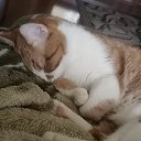 ���� �����, ��������, 47 ��� - ��������� 14 ������� 2021 � ������ ������ ��������