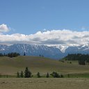  , -, 64  -  16  2020    