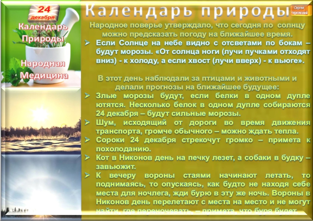 ПРИВЕТСТВИЯ и ПОЖЕЛАНИЯ, открытки на каждый день. опубликовал пост от 23  декабря 2020 в 22:29 | Фотострана | Пост №2262044681