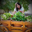 ���� �������, ����������� - ��������� 5 ������� 2020 � ������ ���� ����������