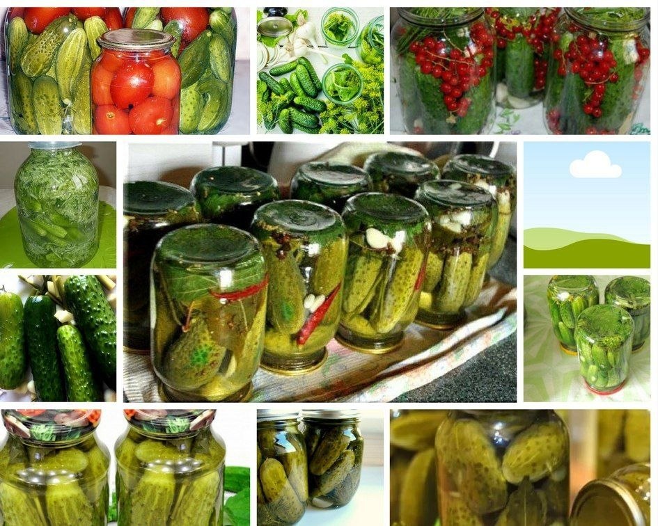 15    a .(a c a  ,   a!) 1. ...