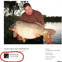 ���� ������, �������, 48 ��� - ��������� 8 �������� 2020 � ������ ���� ����������