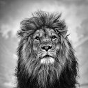 ���� �������, ������, 25 ��� - ��������� 12 ����� 2021 � ������ ���� ����������