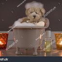 ���� Blablabla, �������, 35 ��� - ��������� 18 ������� 2020 � ������ ���� ����������