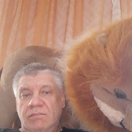 ���� ����������, ���������, 59 ��� - ��������� 29 ������� 2020