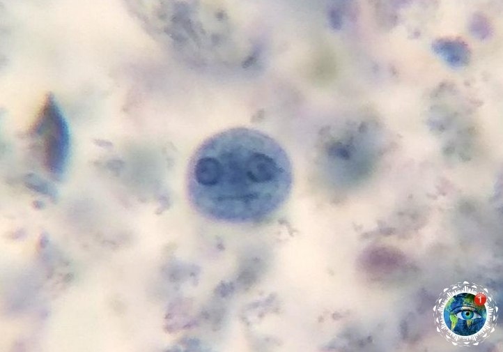  oo oo a opao e a o p. 