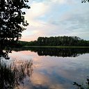 �� ����� ��� ������� 2020 �� ������� ������