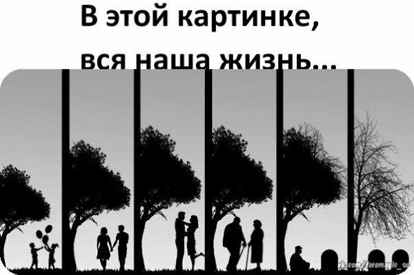  - 11  2020  18:41