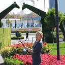 ���� �������, �������, 43 ���� - ��������� 4 ������� 2020 � ������ ���� ����������