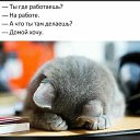 ���� Alex M, ��������� - ��������� 27 ������� 2020 � ������ �������