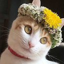 ���� ����, ������, 42 ���� - ��������� 17 ������� 2020 � ������ ���� ����������