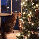 ����� ��� -�� ������ �������� �����, ��� �������� ,������ , �������� � ������������� ����� �����.������� �� ����� �� ������� ������ ��������