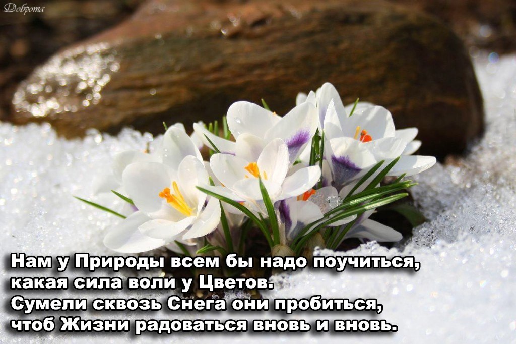 ����������� � ���������, �������� �� ������ ����. - 5 ����� 2021 � 20:36
