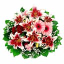 ���� ������, ����-�������, 56 ��� - ��������� 5 ������ 2020 � ������ ���� ����������