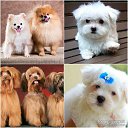 ���� ������, ��������� - ��������� 19 �������� 2020 � ������ �������� �� 19.09.2020� 19:58�