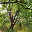 ���� ������, �������, 65 ��� - ��������� 20 ������� 2020 � ������ ���� ����������