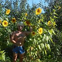   -good, , 43  -  8  2021    